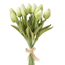 Green Tulip Bunch