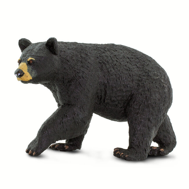 Black Bear Small