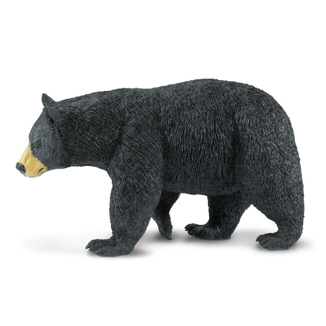 Black Bear Large