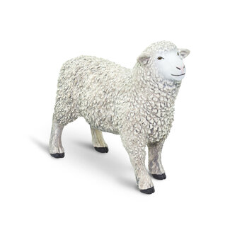 Safari Ltd Sheep