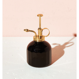 Modern Sprout Mister - Black Glass and Brass
