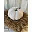 Full Moon Pumpkin 6.5”