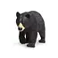 Black Bear Large