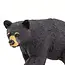 Black Bear Small