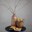 Paulownia Wood Vase, Walnut Stained Finish 14.25”