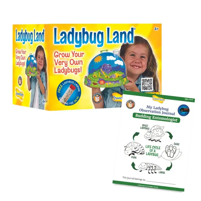 Ladybug Land