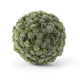 Succulent Ball 5”