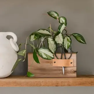 Aimee Weaver Designs Wood Plant Propagation Stand