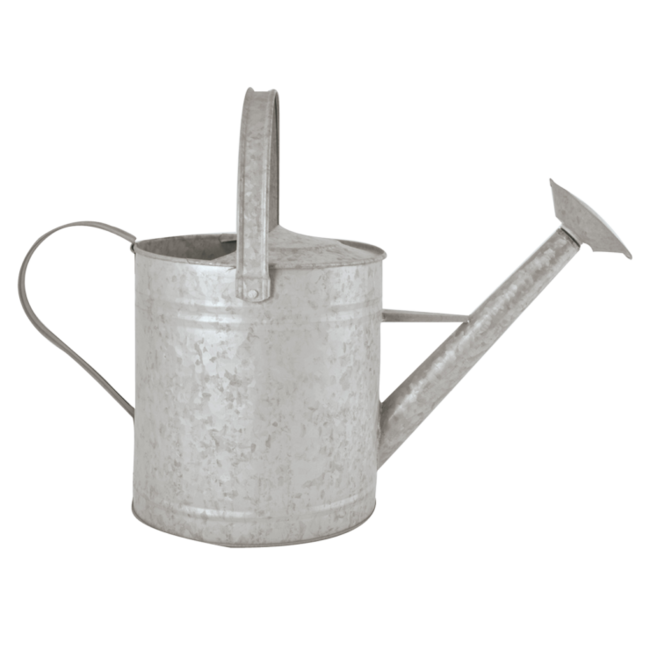 Old Zinc Watering Can .96 Gallon