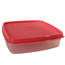 Signoraware Smart and Slim Lunch Container