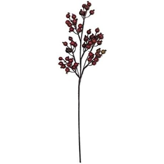 Crab Apple Stem 32”