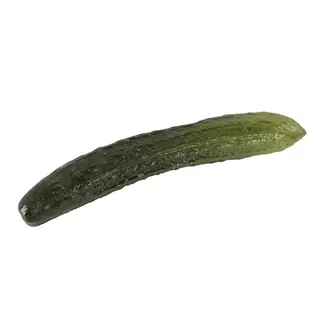 Flora Bunda Artificial Faux English Cucumber 9.5”