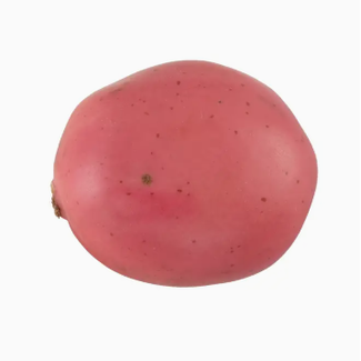 Flora Bunda Artificial Faux Medium Red Potato
