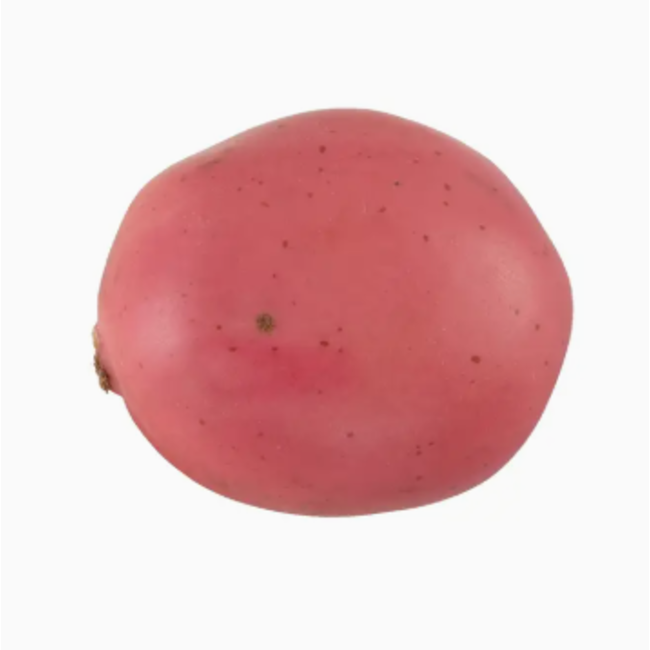 Artificial Faux Medium Red Potato