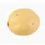 Artificial Faux Medium Yellow Potato