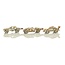 Sports Cars Widget WoodenCity