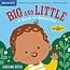 Indestructibles: Big and Little: a Book of Opposites
