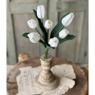Triumph Tulip Bundle White 14.5”