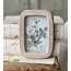 Wakefield Mini Botanical #1 Light Yellow Flowers in Frame 6x4