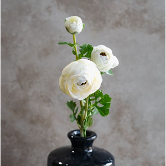 16.5” White Ranunculus Stem