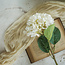 White Hydrangea Spray 22"