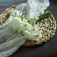 White Daffodil Bundle 9.5"