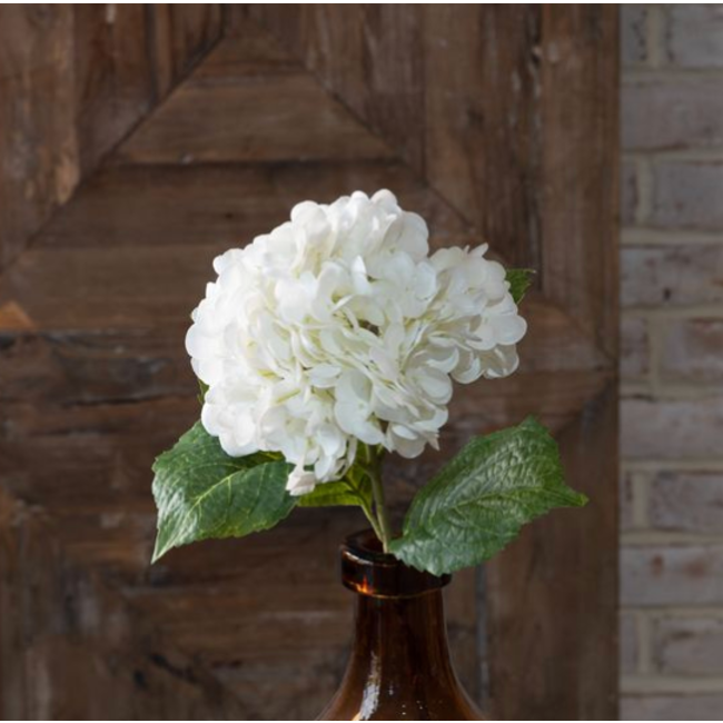 White Hydrangea Stem