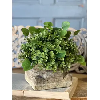 Ashford Eucalyptus Half Sphere 12"