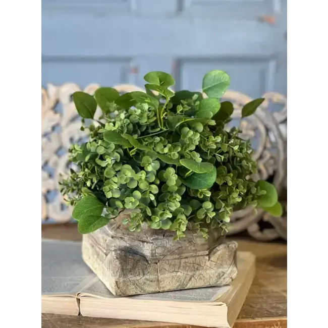 Ashford Eucalyptus Half Sphere 12"