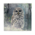 Cedar Mountain - Forest Owl Art Block
