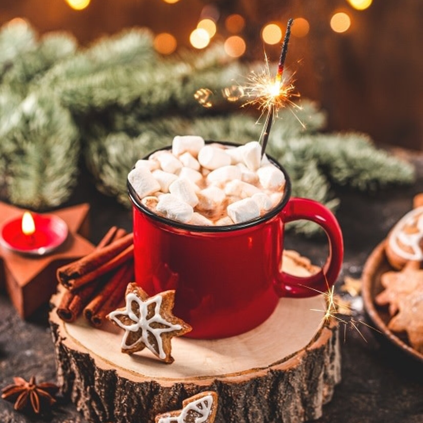 Gourmet du Village Mini chocolat chaud  - Casse-Noisette