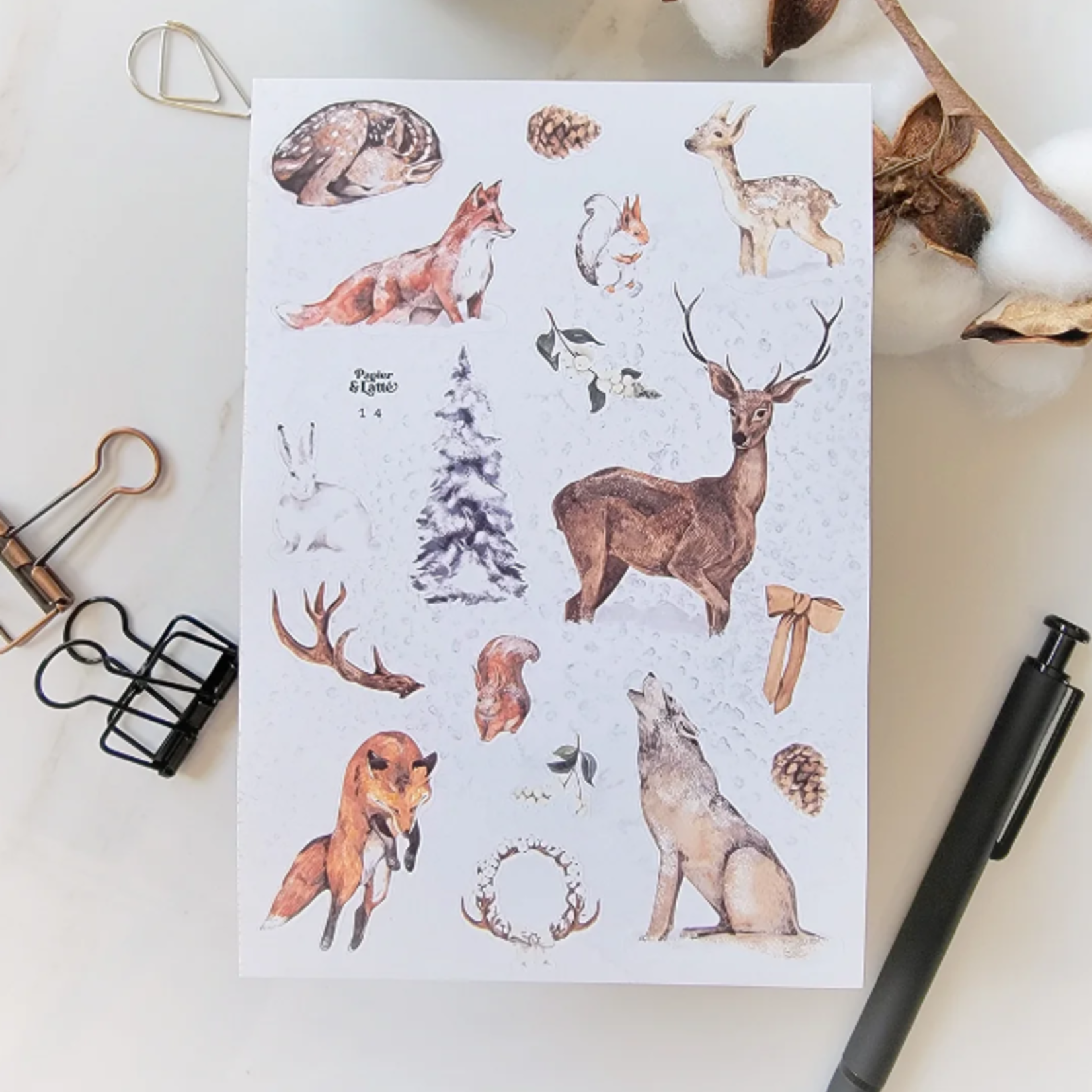 Papier & Latté Autocollants - Animaux de la forêt