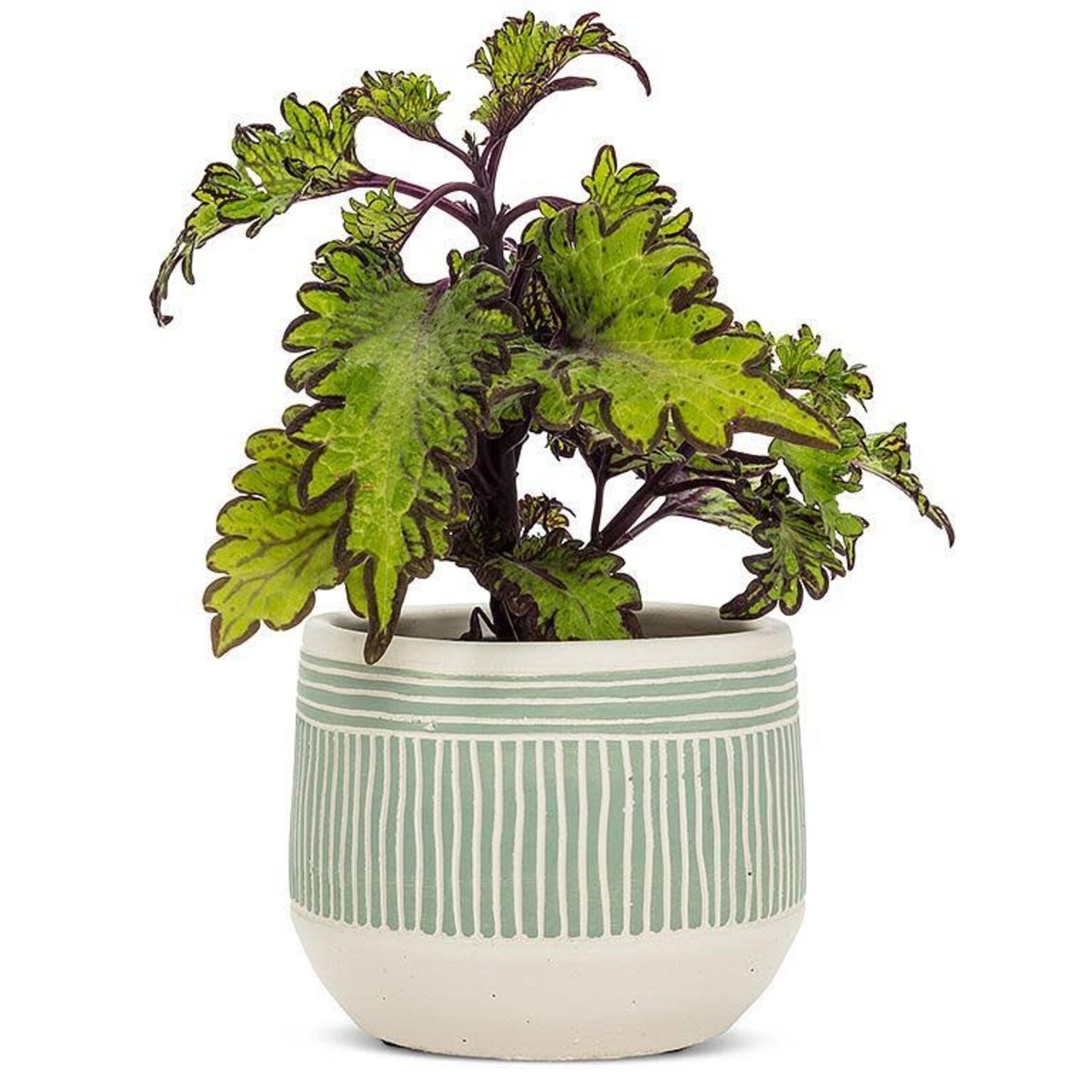 Abbott Vase rayures vertes - Petit