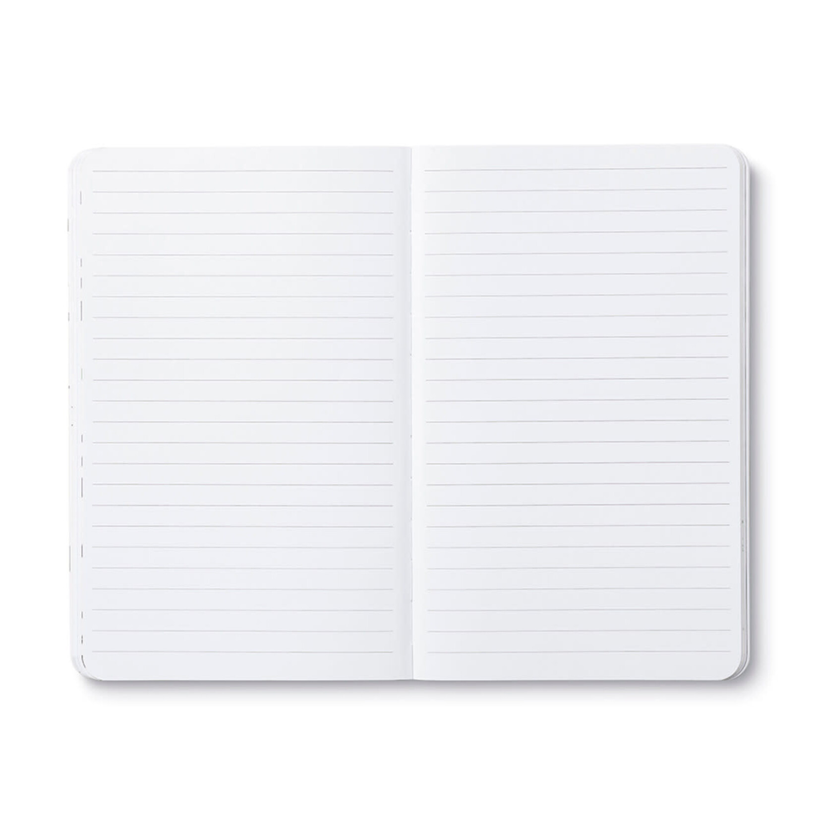 Compendium Petit cahier de note - "There are no ordinary cats."—Colette
