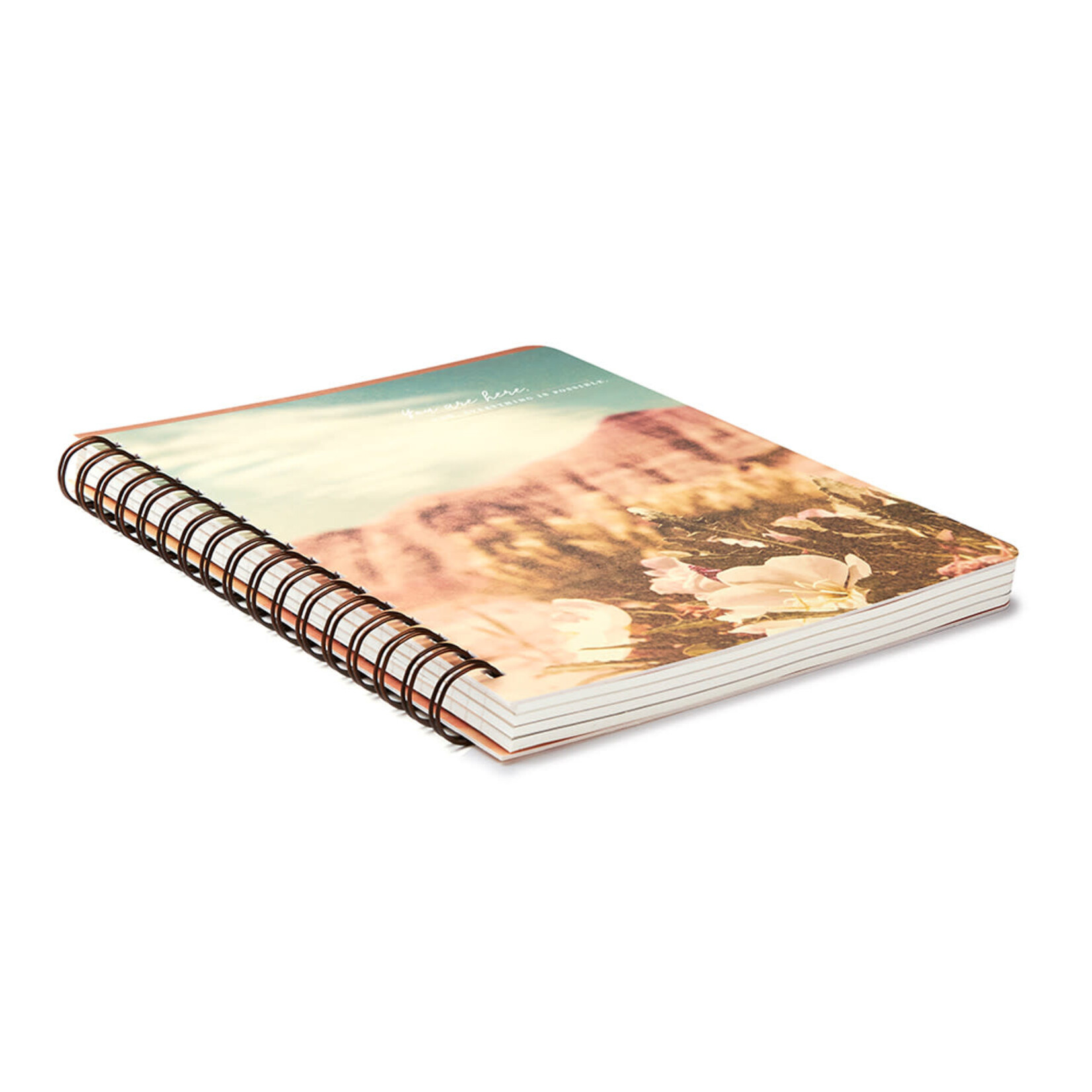 Compendium Cahier spiral - You are here. Now everything is possible.