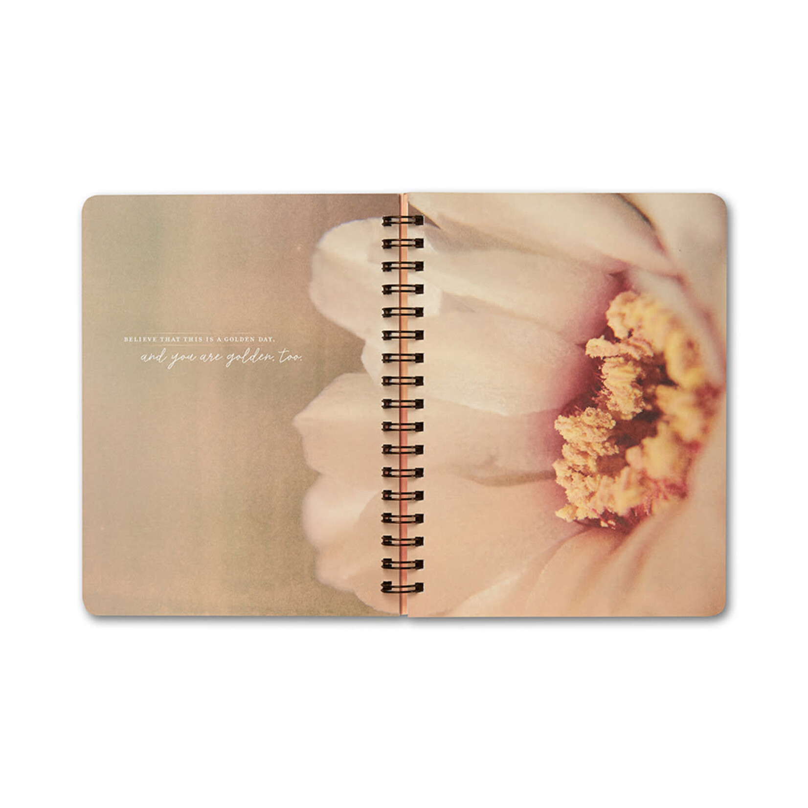 Compendium Cahier spiral - You are here. Now everything is possible.