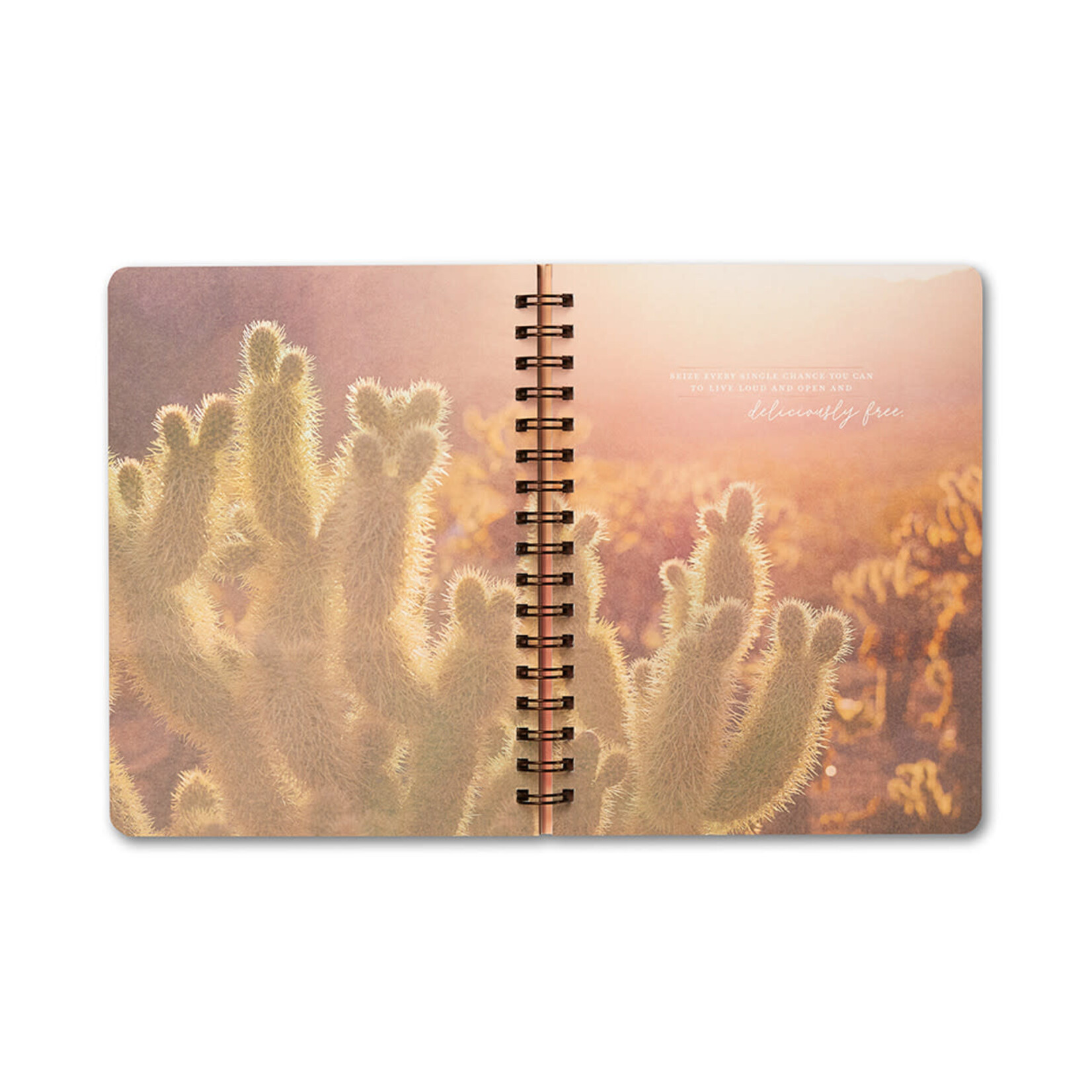 Compendium Cahier spiral - You are here. Now everything is possible.