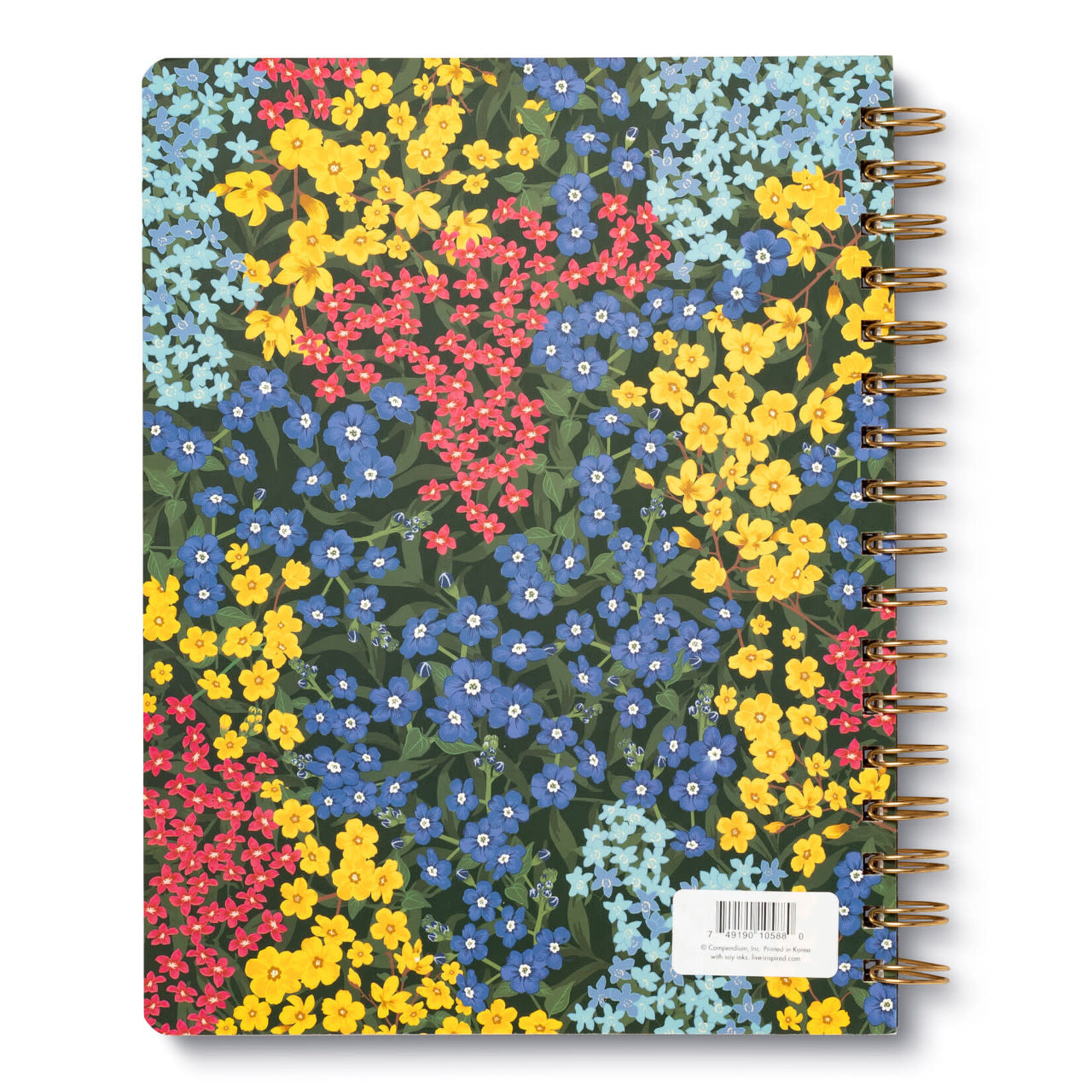 Compendium Cahier avec reliure spirale - You are here, it ts time, you are ready.