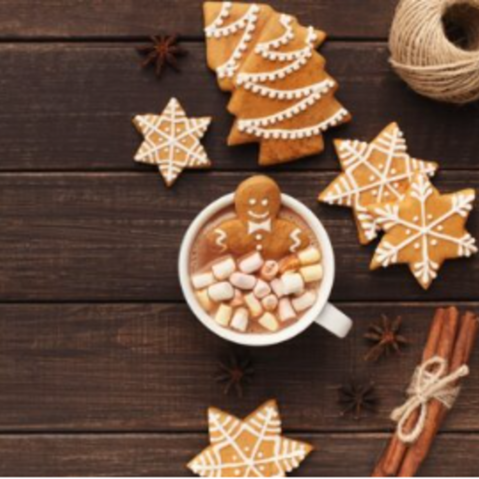 Gourmet du Village Mini chocolat chaud - Pain d'épices