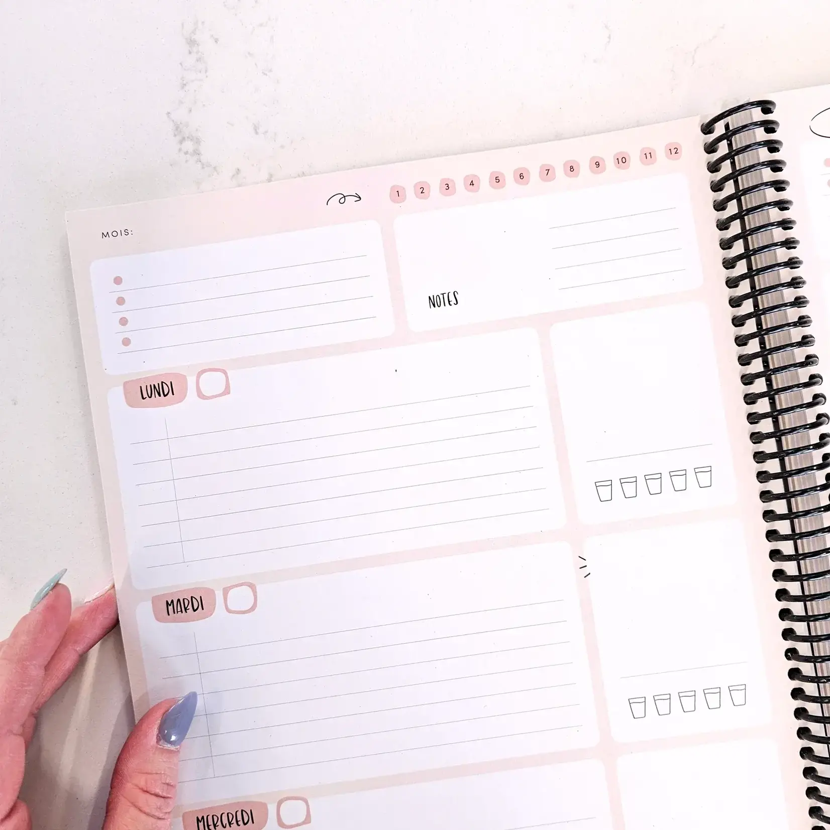 Papier & Latté Agenda 4e édition -Isaella -  non-daté
