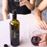 Ones+ Bouteille vin Cabernet Merlot - 0,5 % alcool - 750 ml