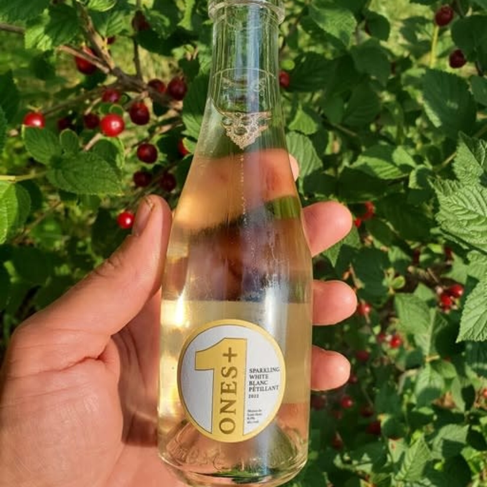 Ones+ Bouteille mousseux blanc - 0,5% -  200 ml