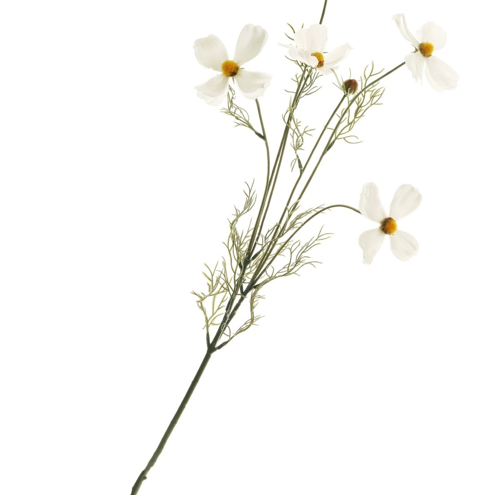 Accent de ville Fleurs blanches