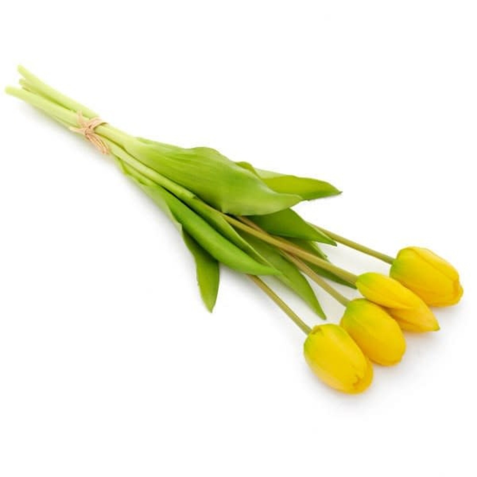 Accent de ville Ensemble de tulipes jaunes