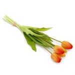 Accent de ville Ensemble de tulipes oranges
