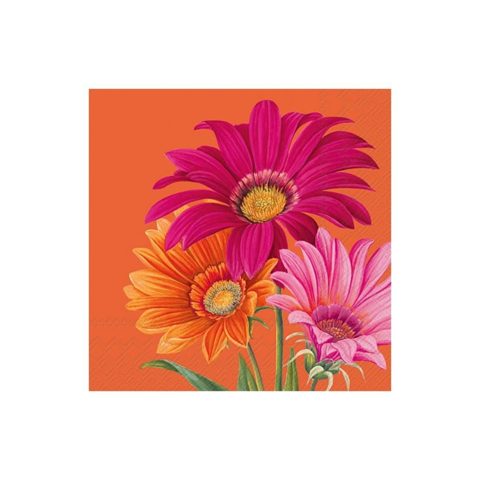 IHR Serviettes de table - Lunch - Gerbera orange