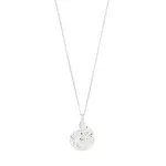 Pilgrim Collier Haze - Argent