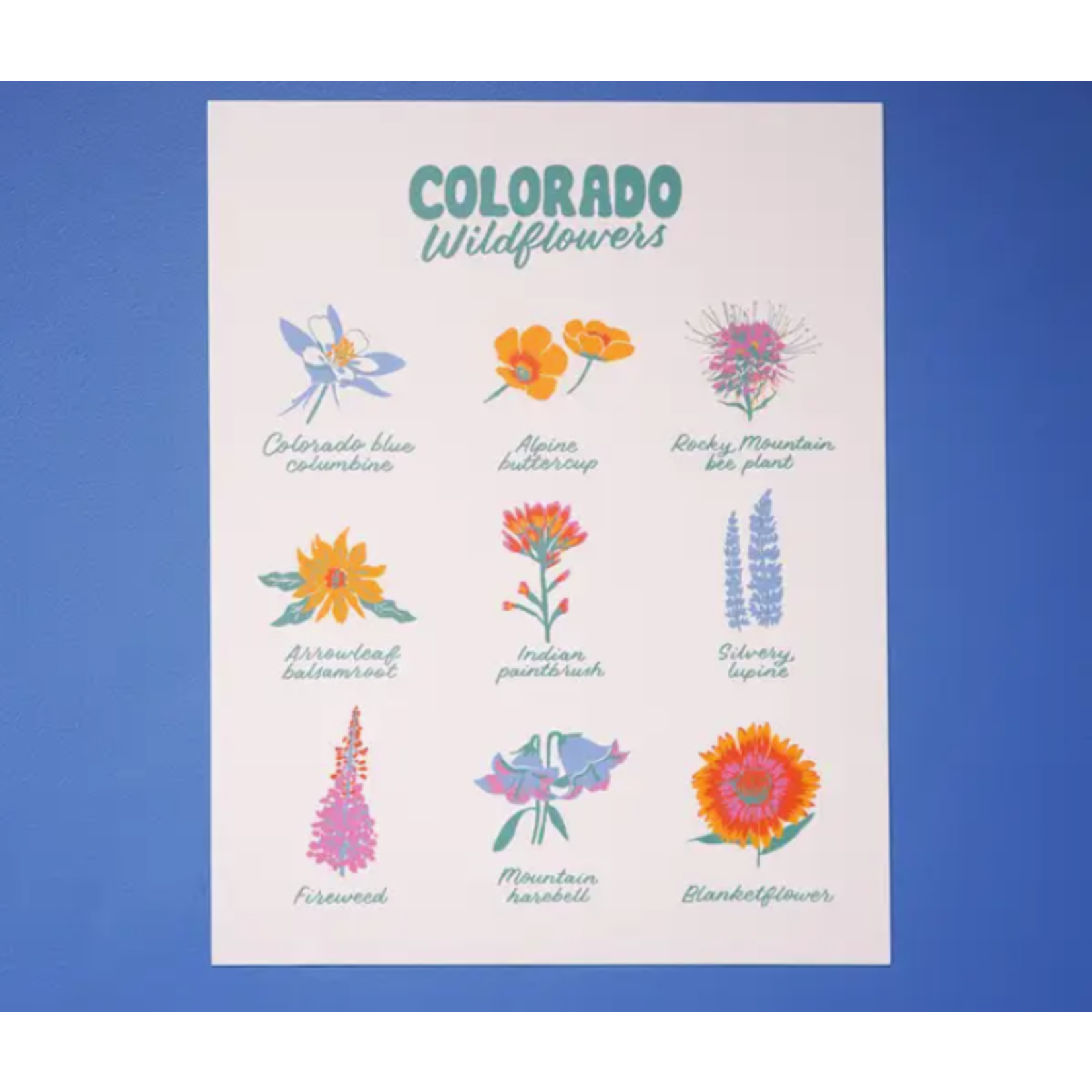 Little Known Goods Colorado Wildflowers Print