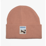 Snow Business SB Defo Fisherman's Beanie Dusty Rose