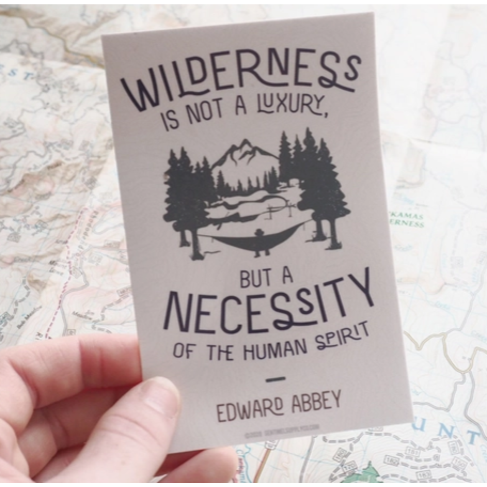 Sentinal Supply SS Edward Abbey Wilderness Quote Sticker